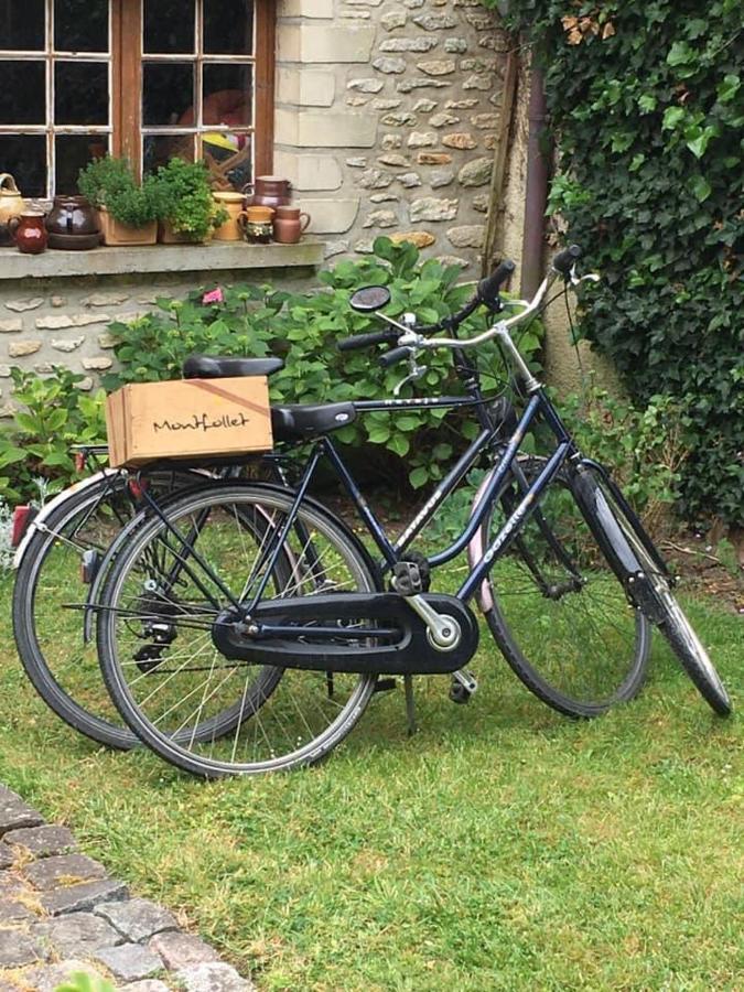 Au Fil De L'Eau & Gite "Le Jardin Du Moulin" Fourges Eksteriør bilde
